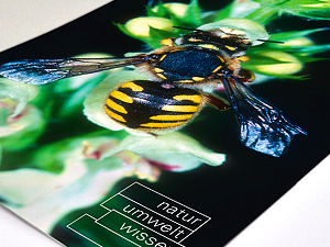 Strahlende Bilder auch auf Naturpapier. Dank der LED-Offsetdrucktechnologie
