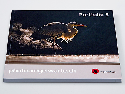 vogelwarte_01-400x300