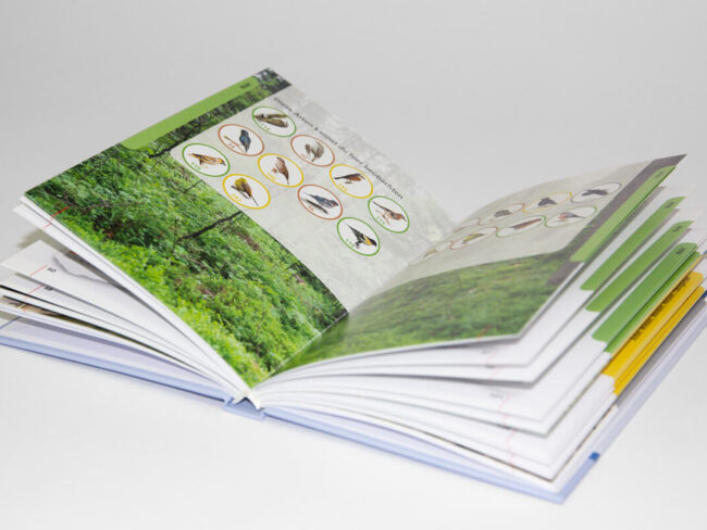 VOSE-BU-Kinderbuch_03